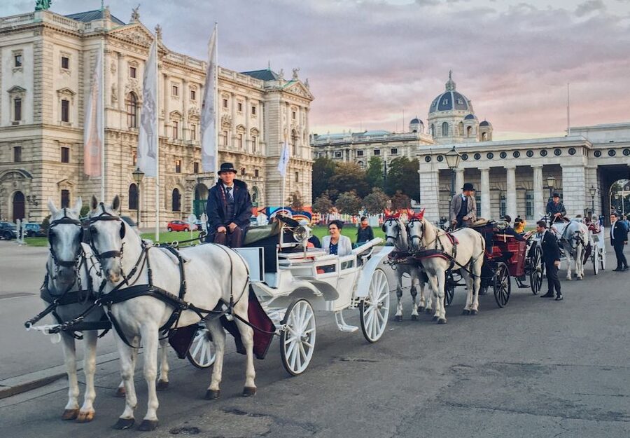 Vienna: 30-Minute Fiaker Ride in the Old Town - Key things to know before you ride