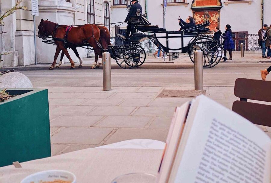 Vienna: 30-Minute Fiaker Ride in the Old Town - The 30-minute route: Hofburg, The Ring, Parliament, Town Hall