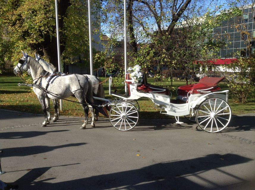 Vienna: 30-Minute Fiaker Ride in the Old Town - Should you book this 30-minute Fiaker ride in Vienna?