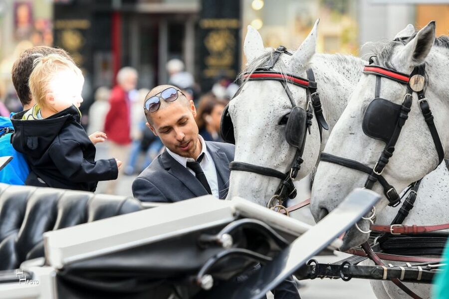 Vienna: 30-Minute Fiaker Ride in the Old Town - FAQ