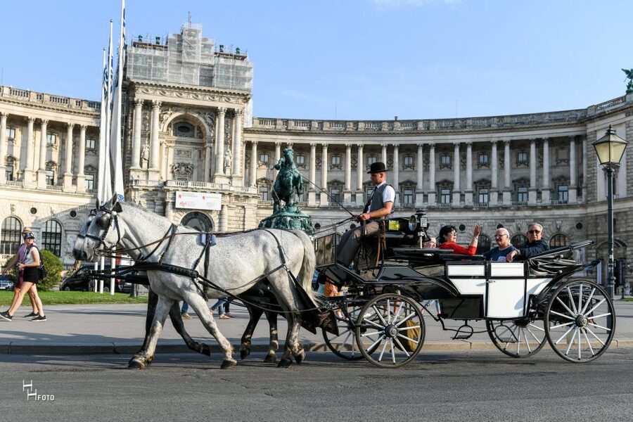 Vienna: 30-Minute Fiaker Ride in the Old Town - Choosing your starting point: St. Stephen’s Cathedral or Michaelerplatz
