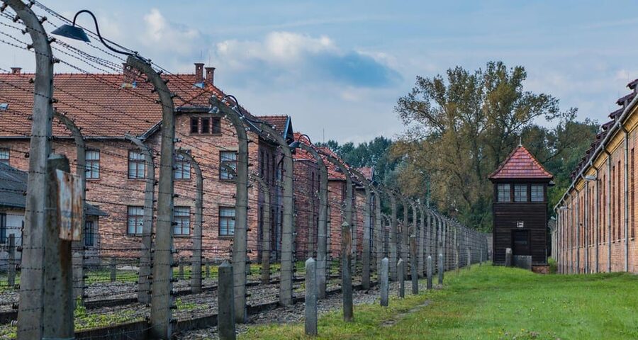 Vienna: Auschwitz Birkenau Full-Day Tour w/ Hotel Transfers - Auschwitz I: the political-prisoner story you’ll see in the remains