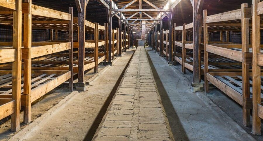 Vienna: Auschwitz Birkenau Full-Day Tour w/ Hotel Transfers - Auschwitz II-Birkenau: seeing the scale of suffering