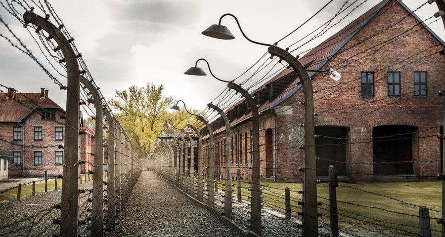 Vienna: Auschwitz Birkenau Full-Day Tour w/ Hotel Transfers - Who this tour fits best (and who should think twice)