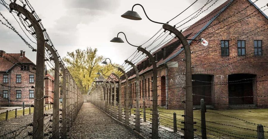 Vienna: Auschwitz Birkenau Full-Day Tour w/ Hotel Transfers - Price and value: is $666 per person worth it?