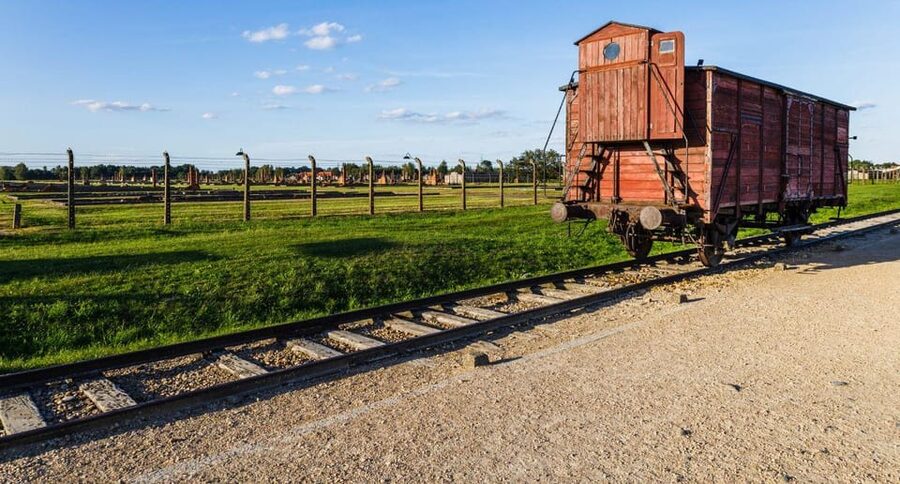 Vienna: Auschwitz Birkenau Full-Day Tour w/ Hotel Transfers - The drive south: comfort, timing, and what to do with the quiet