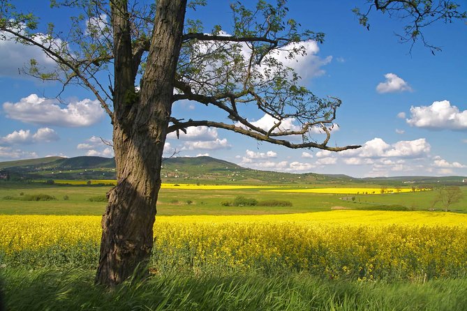 Vienna-Budapest One-Way Sightseeing Transfer - Price and what you really get for about $324.79