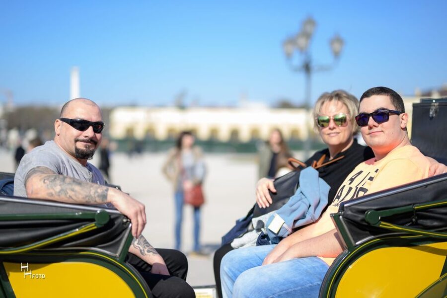 Vienna: Carriage Ride Through Schönbrunn Palace Gardens - Key highlights you should care about