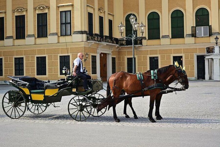 Vienna: Carriage Ride Through Schönbrunn Palace Gardens - How the Schönbrunn carriage ride works in real life