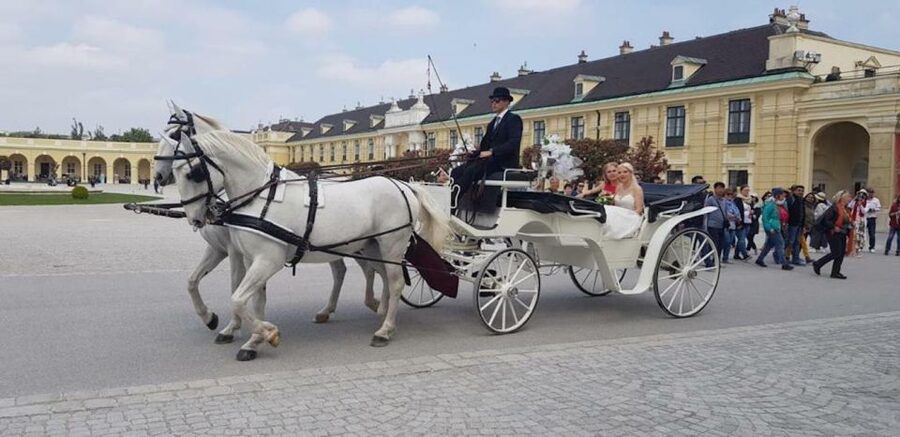 Vienna: Carriage Ride Through Schönbrunn Palace Gardens - Palm House, Orangerie, fountains, and why these stops matter