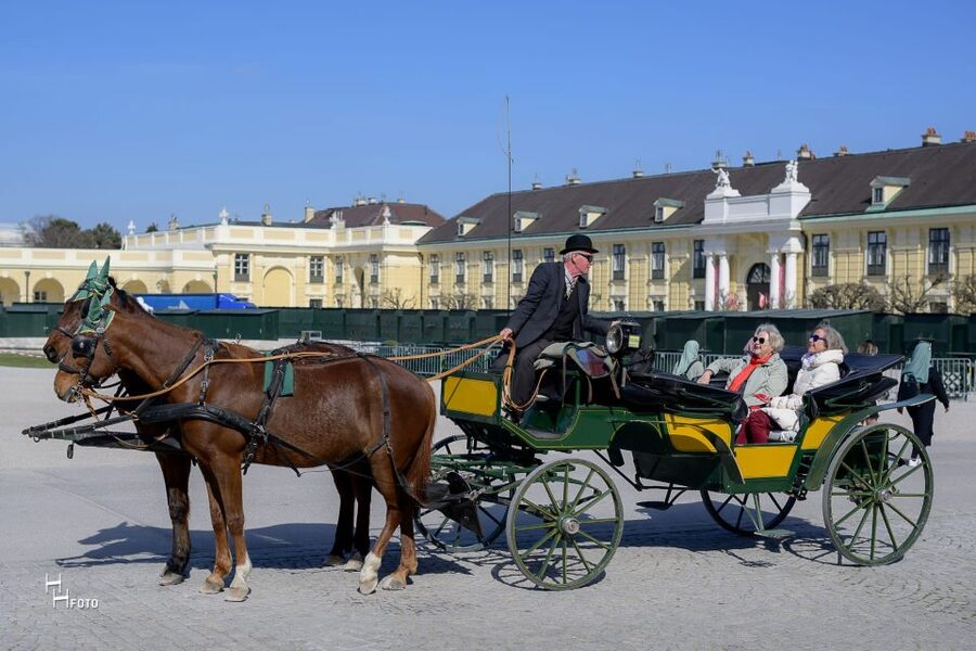 Vienna: Carriage Ride Through Schönbrunn Palace Gardens - Neptune, Obelisk, and the view you get from a carriage seat