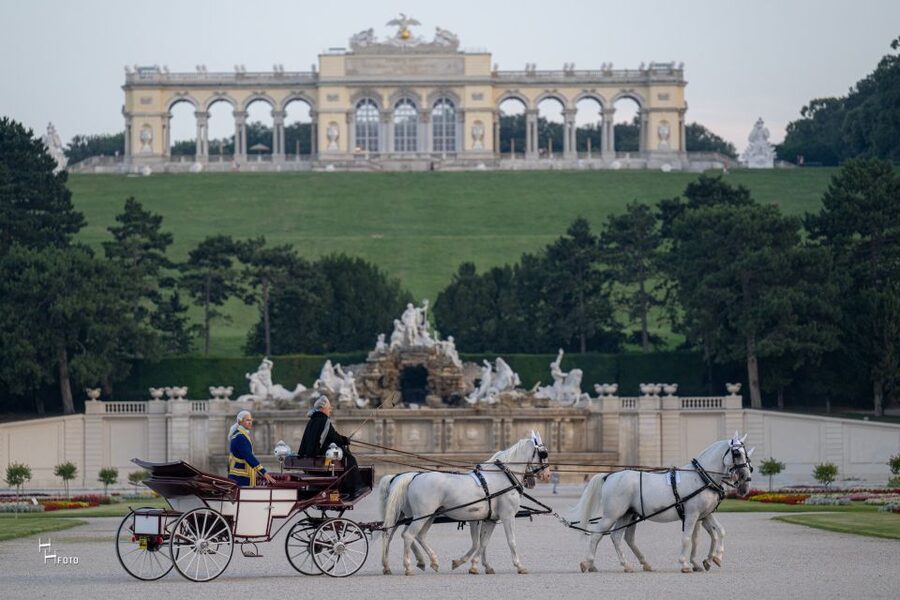 Vienna: Carriage Ride Through Schönbrunn Palace Gardens - Price and value: what $108 per group really means