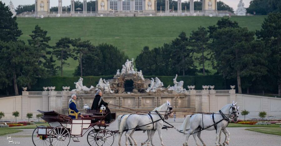 Vienna: Carriage Ride Through Schönbrunn Palace Gardens - Who should book this ride, and who might want a different plan