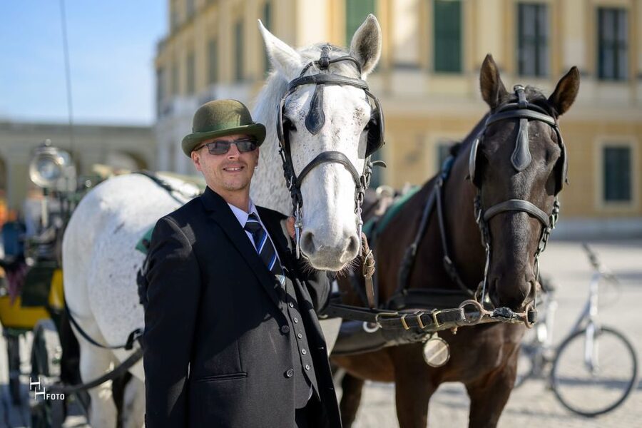 Vienna: Carriage Ride Through Schönbrunn Palace Gardens - Should you book the Schönbrunn carriage ride?