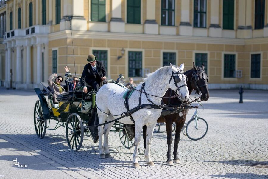 Vienna: Carriage Ride Through Schönbrunn Palace Gardens - Your 30-minute route, from palace forecourt to garden icons