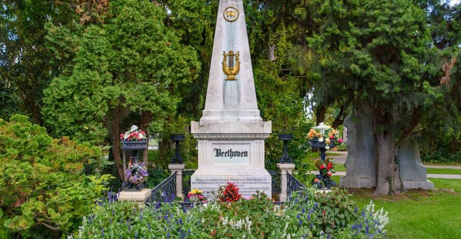 Vienna Central Cemetery Walking Tour with Transfers - Should you book this Vienna Central Cemetery tour?