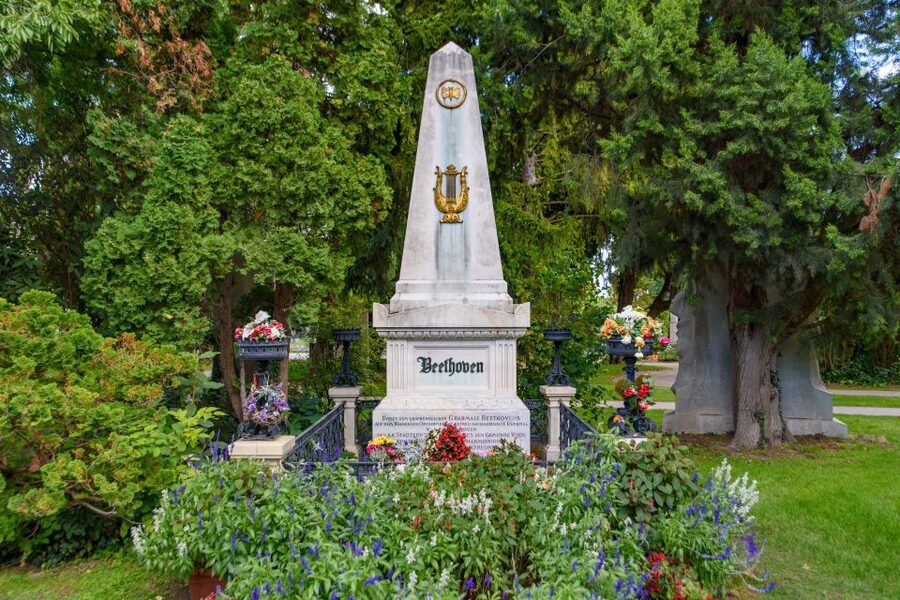 Vienna Central Cemetery Walking Tour with Transfers - Who this private Vienna Central Cemetery tour fits best