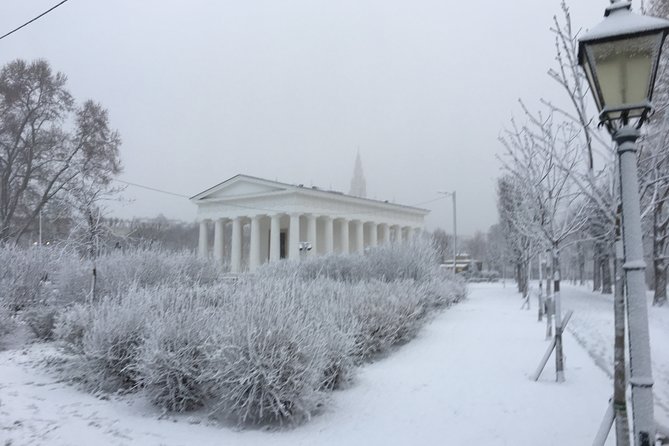 Vienna Christmas Tour - Who will love this, and who should consider a slower option