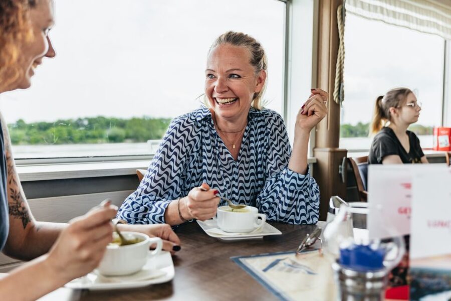 Vienna: City Cruise with Optional Lunch - Potential downsides to watch for before you go