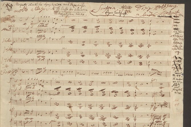 Vienna: City of Music Private Walking Tour - Mozarthaus Vienna and Figaro House: Mozart at work in real neighborhoods