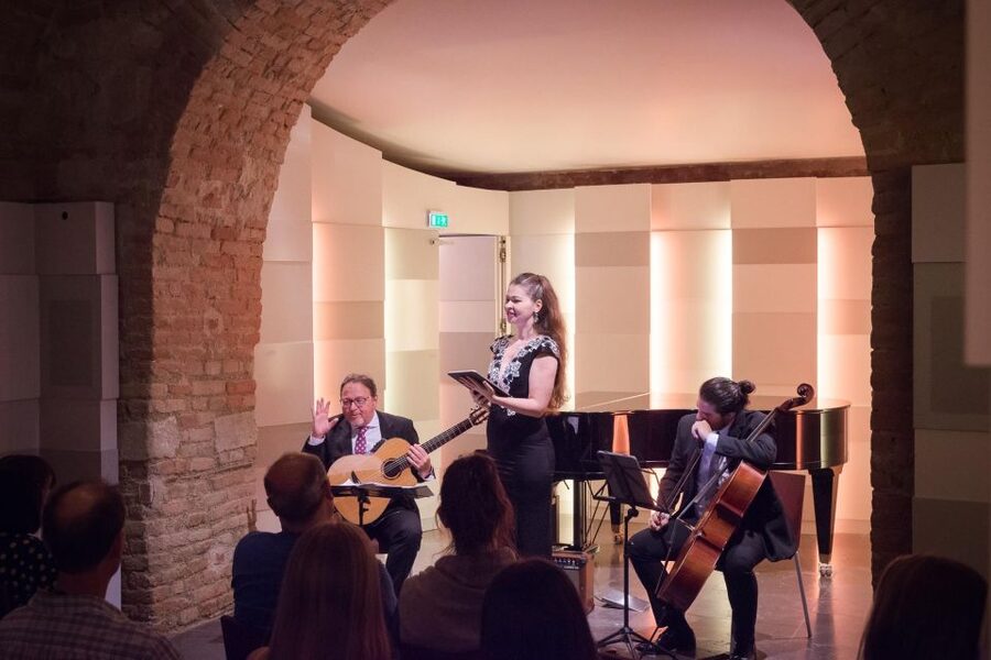 Vienna: Classical Concert at Mozarthaus with Museum Entry - Comfort and practical tips: warm crypts, layers, and pace