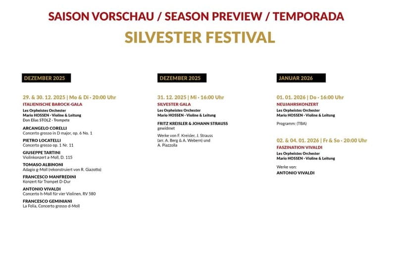 Vienna: Classical Concerts in the Minorite Church Ticket - The Performance Experience: Short, Focused, and Often Emotion-Forward