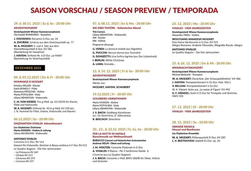 Vienna: Classical Concerts in the Minorite Church Ticket - How Much Value You Get for Around $22