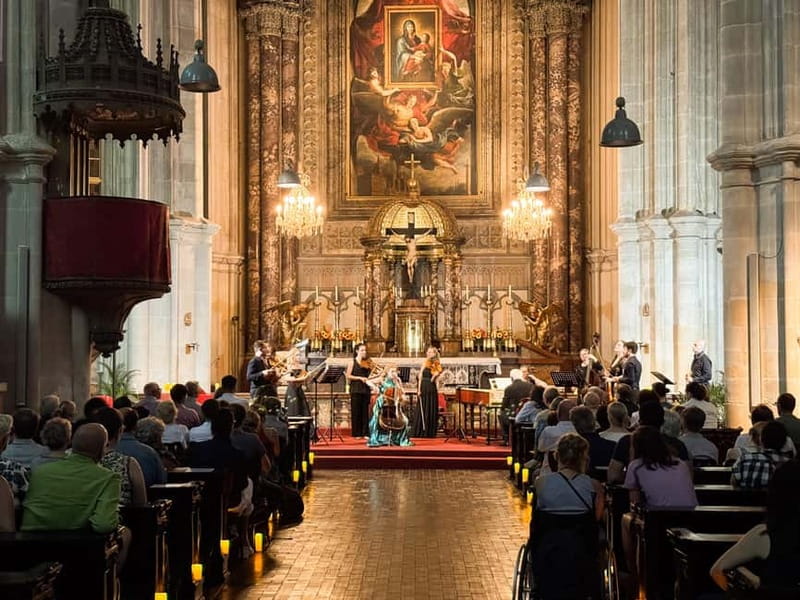Vienna: Classical Concerts in the Minorite Church Ticket - Who This Fits Best, and Who Might Skip It
