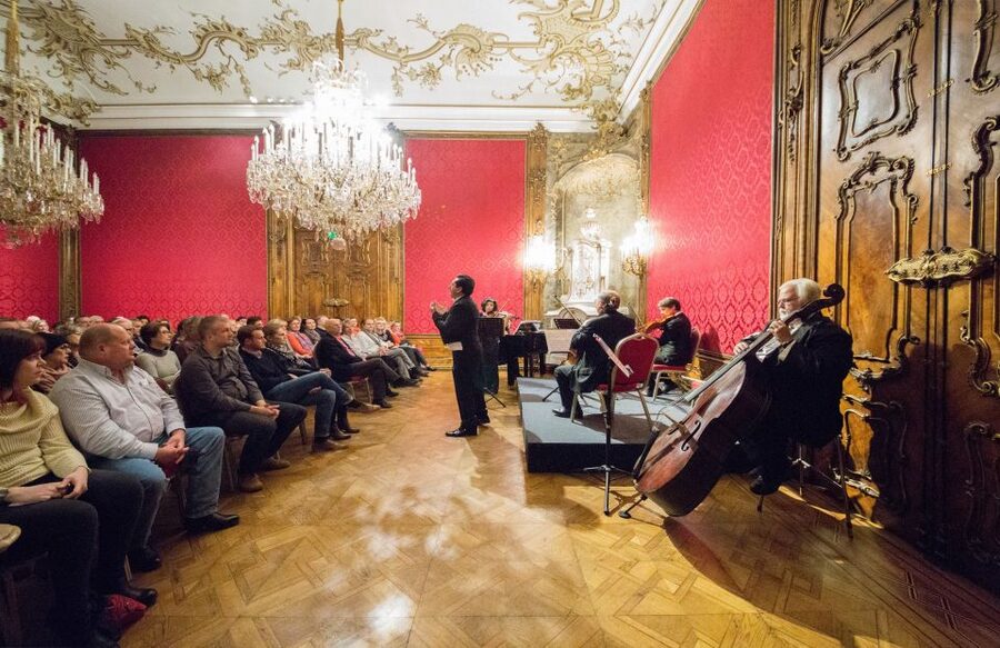 Vienna: Concert by the Vienna Baroque Orchestra - Before the concert: stepping into Palais Schönborn-Batthány