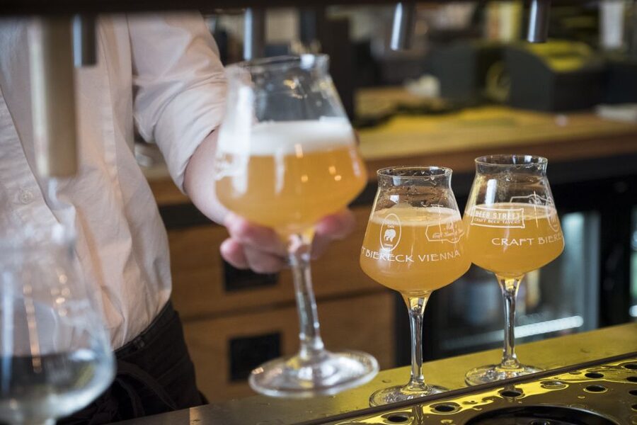 Vienna: Craft Beer Tasting Experience with Local Snacks - Austrian Beer History and Production, Without the Stuffiness