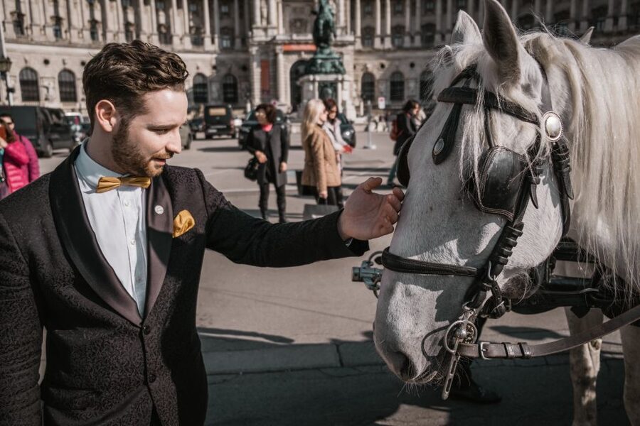 Vienna: Culinary Horse-Drawn Carriage Experience - Inside the Carriage: Weatherproof, Quiet, and Designed for Real Conversation