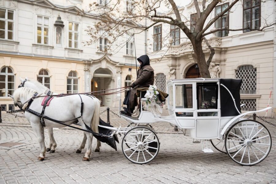 Vienna: Culinary Horse-Drawn Carriage Experience - The Route: Hofburg to the Opera Area in One Peaceful Loop