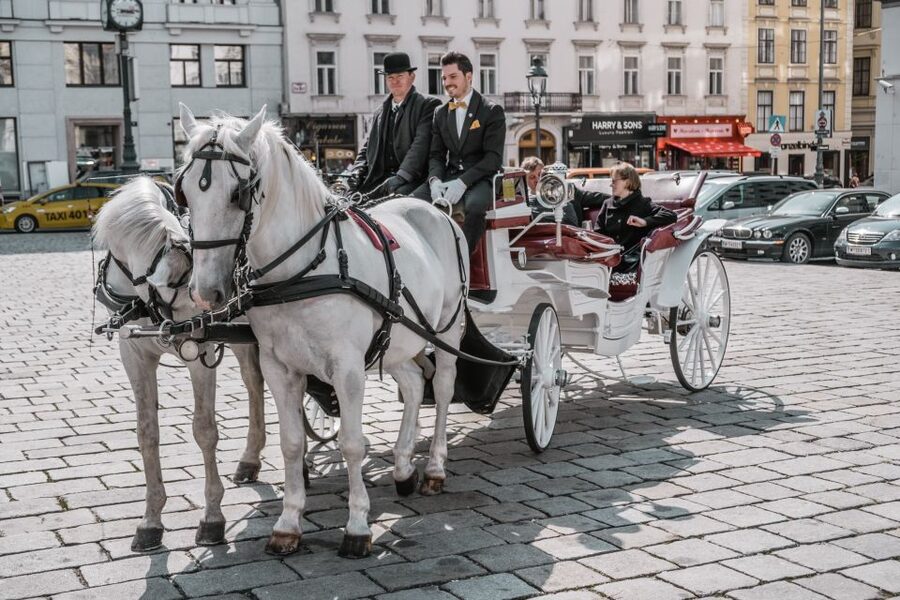 Vienna: Culinary Horse-Drawn Carriage Experience - Timing, Weather, and When the Experience Can Feel Shorter