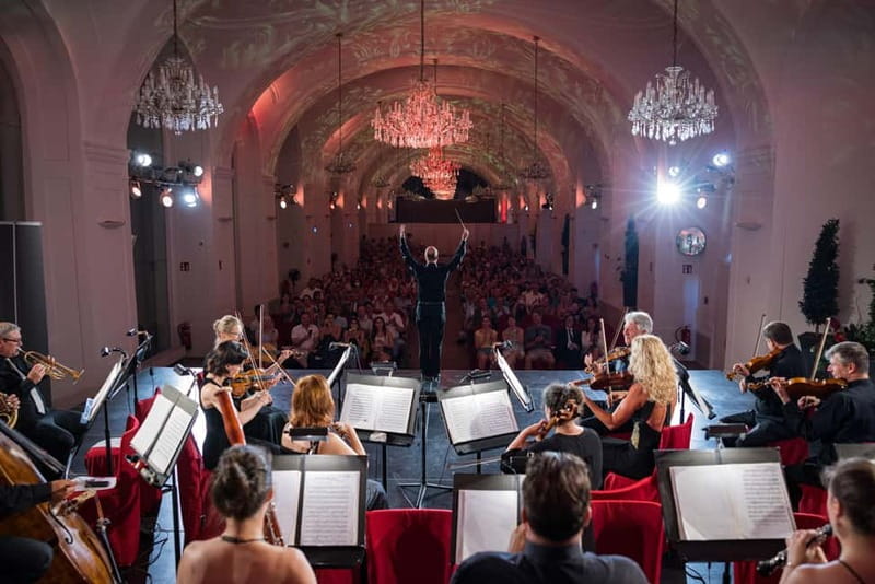 Vienna: Dinner & Concert at Schönbrunn Palace - VIP vs Standard: What Priority Access Changes in the Real World