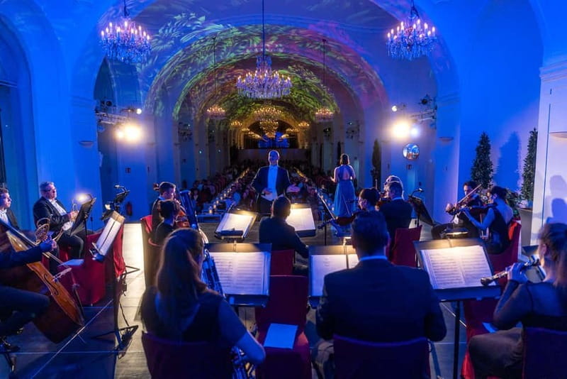 Vienna: Dinner & Concert at Schönbrunn Palace - Should You Book This Schönbrunn Dinner and Concert?