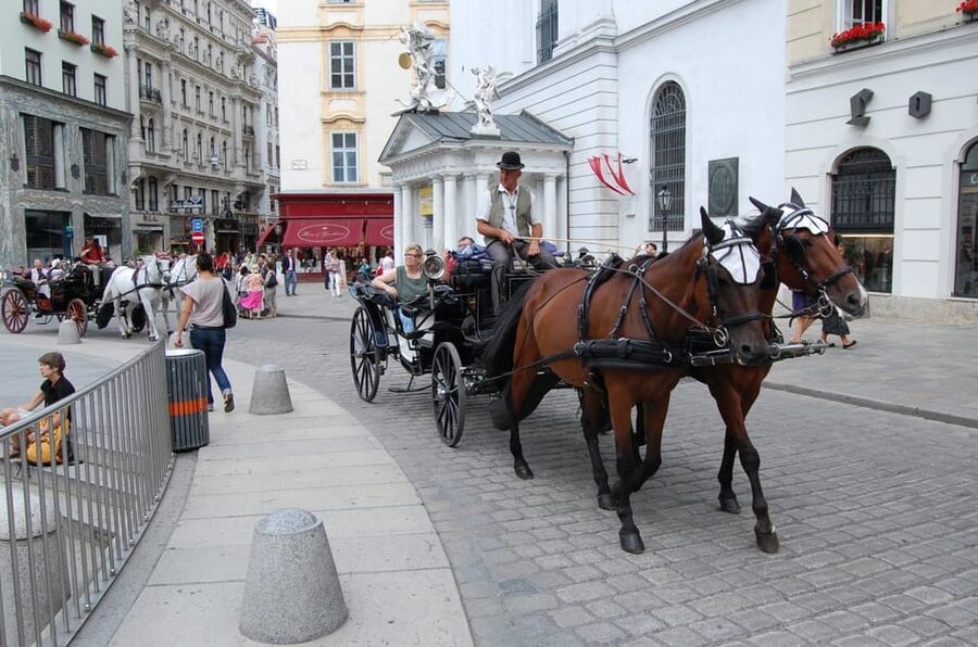Vienna Full Day Tour from Prague - Schonbrunn Palace and Gardens: Worth the Extra Spend