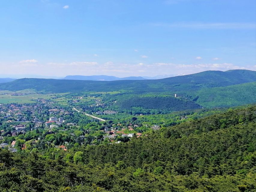 Vienna: Full-Day Vienna Woods Wine Tasting Tour - Winter plan (November to March): monastic winemaking and mostly indoors