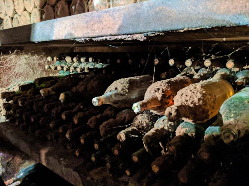 Vienna: Full-Day Vienna Woods Wine Tasting Tour - Gumpoldskirchen lunch: a classic wine village break
