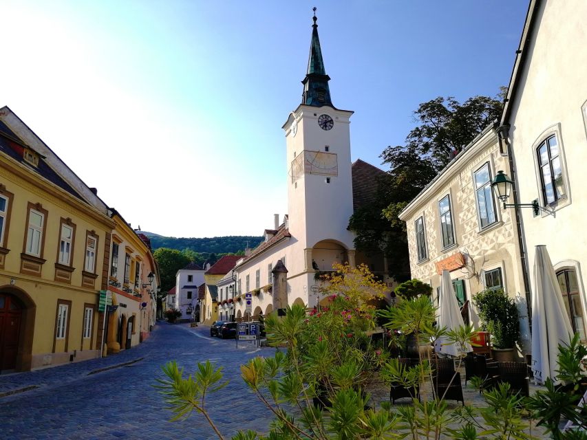 Vienna: Full-Day Vienna Woods Wine Tasting Tour - The winery visit and the extensive wine tasting you can ask about