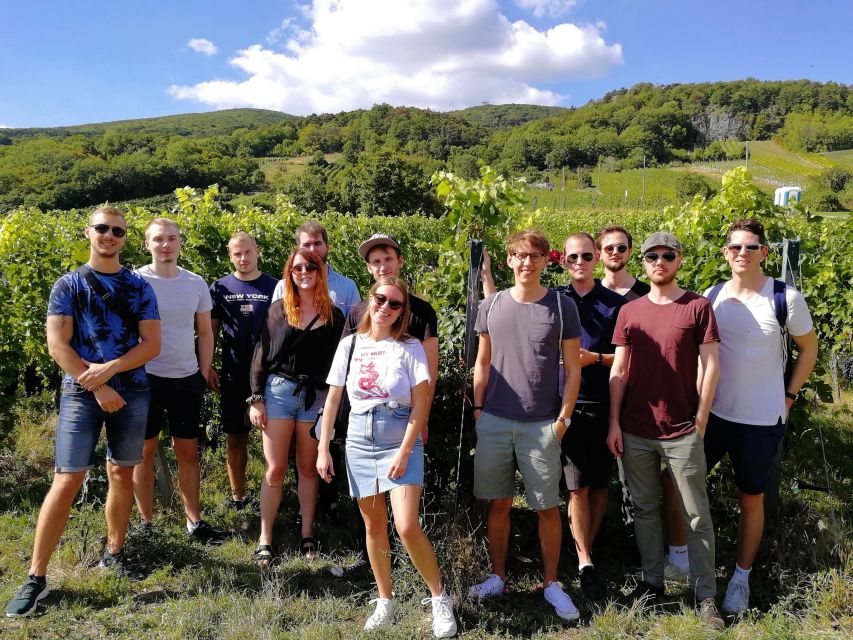 Vienna: Full-Day Vienna Woods Wine Tasting Tour - The guide makes the difference: hiking, wine, and good pacing