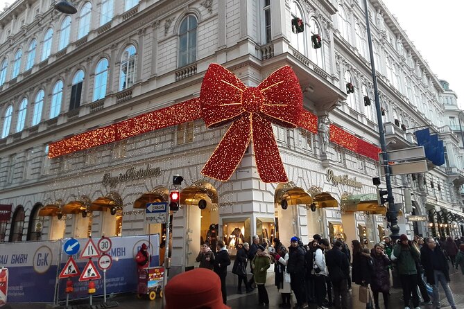 Vienna Guided City Tour in English - Pestsaule and Peterskirche: Baroque Art in Plain Sight