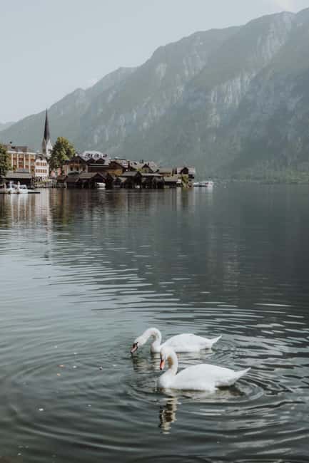 Vienna: Hallstatt Guided Tour with Hotel Pickup & Drop-off - Hallstatt Museum: the history stop that makes the town click