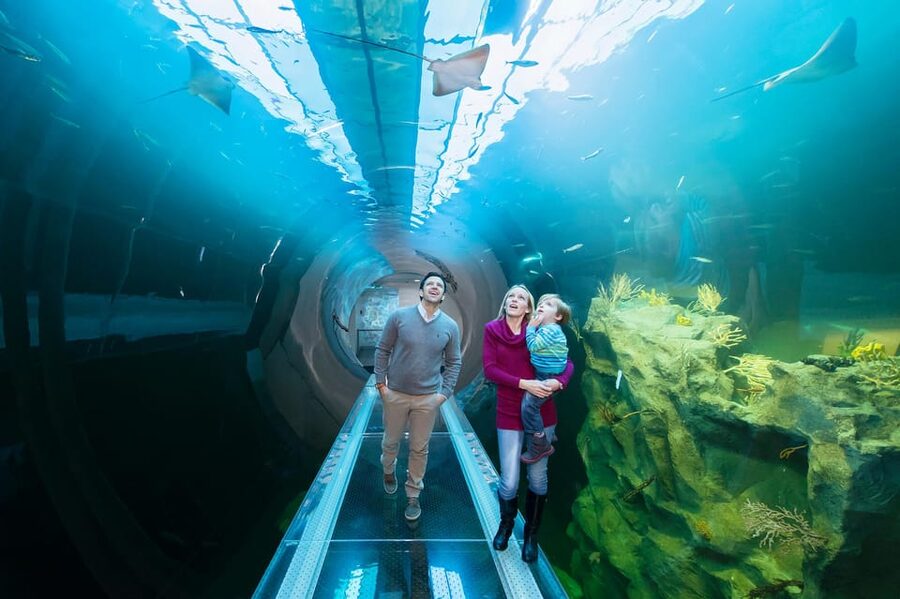 Vienna: Haus des Meeres Entry Ticket - Jungle adventure in the heart of Vienna
