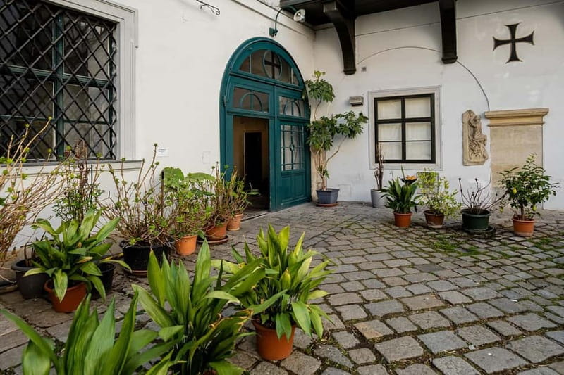 Vienna: Hidden courtyards Guided walking tour - What you actually see: doorways, climbing plants, and architectural surprises