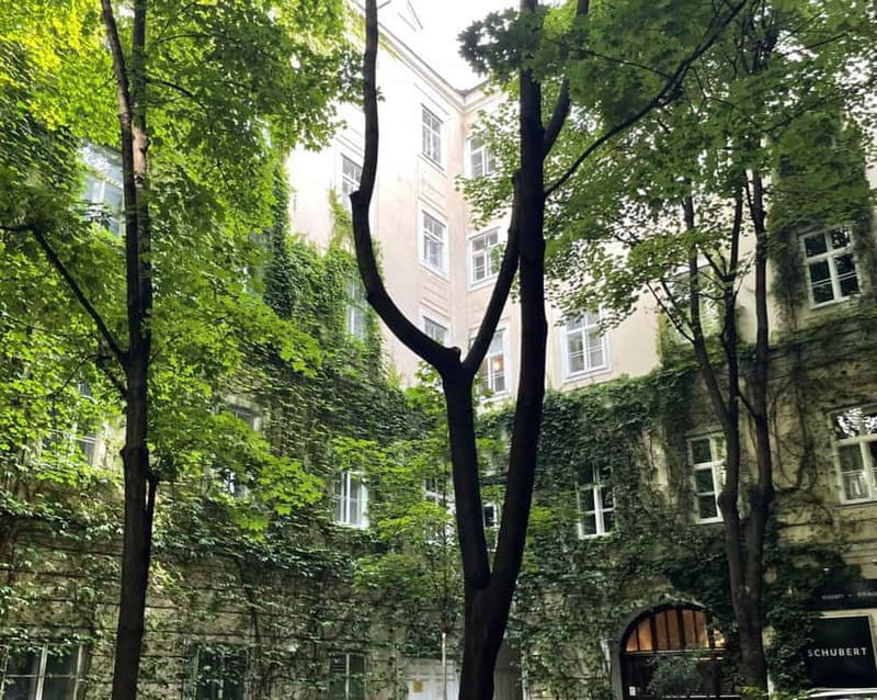 Vienna: Hidden courtyards Guided walking tour - Language reality: a German-language tour, and how to enjoy it anyway