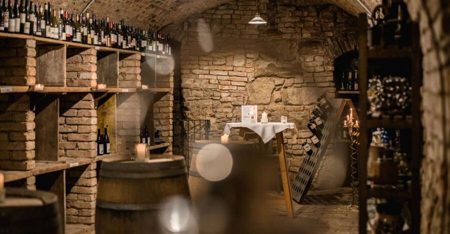 Vienna: Hidden Wine Cellars Tasting Experience - Key things to know before you go