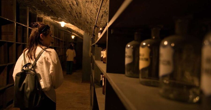 Vienna: Historical Pharmacy Cellar Guided Tour - Key things to know before you go
