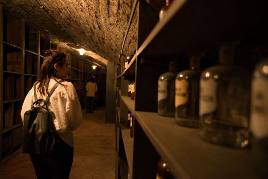Vienna: Historical Pharmacy Cellar Guided Tour - How the Descent Changes Your View of Vienna