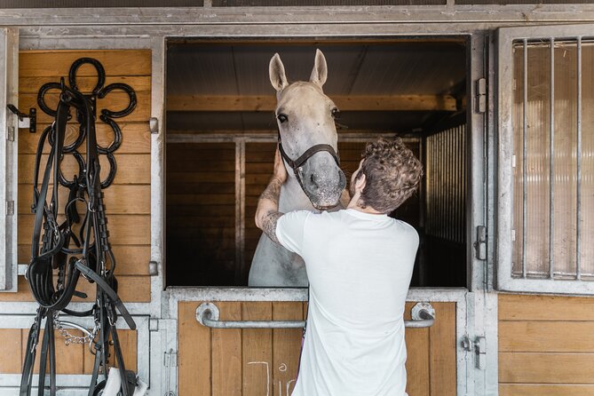 Vienna Horse-drawn Carriage Guided Tour - Meeting at Rappachgasse 34A and What to Expect Before You Roll