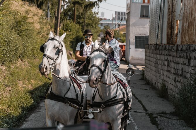 Vienna Horse-drawn Carriage Guided Tour - Belvedere Area: From Suburbs to City-Class Buildings